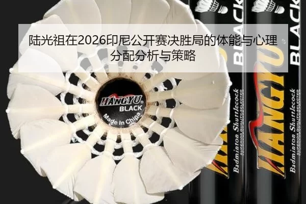 lu-guang-zu-zai-yin-ni-gong-kai-sai-jue-sheng-ju-de-ti-neng-yu-xin-li-fen-pei-fen-xi-yu-ce-lve-2-115.jpg