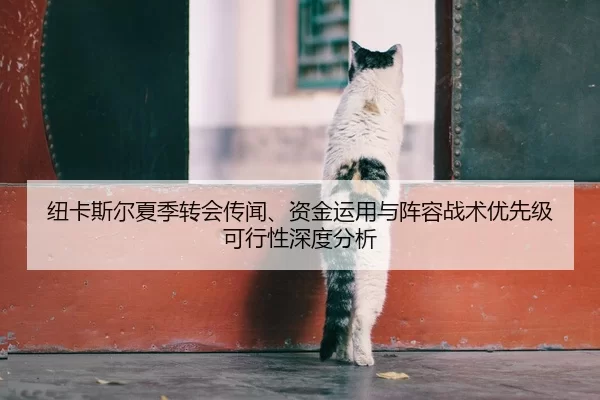 纽卡斯尔夏季转会传闻、资金运用与阵容战术优先级可行性深度分析