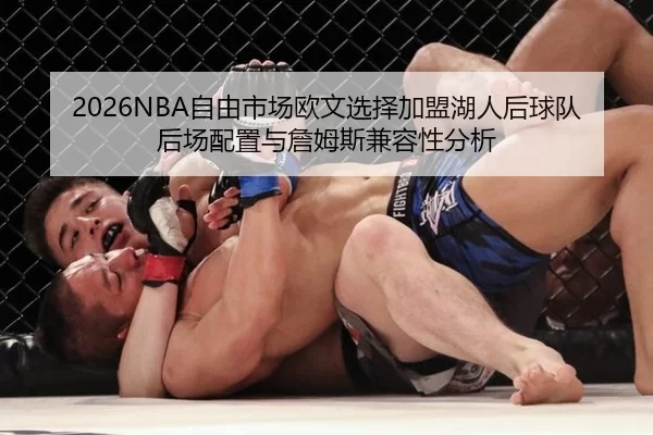 2026NBA自由市场欧文选择加盟湖人后球队后场配置与詹姆斯兼容性分析
